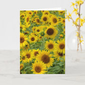 Birthday Sunflower Field Karte (Gelbe Blume)