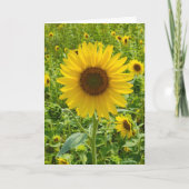 Birthday Sunflower Karte (Vorderseite)