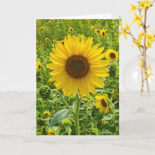 Birthday Sunflower Karte (Gelbe Blume)
