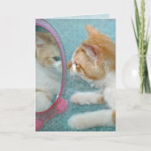 Birthday Tabby Cat in Mirror Karte (Vorderseite)