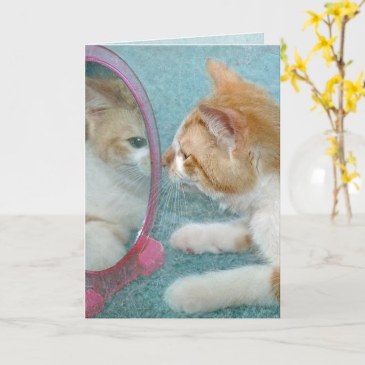 Birthday Tabby Cat in Mirror Karte (Gelbe Blume)