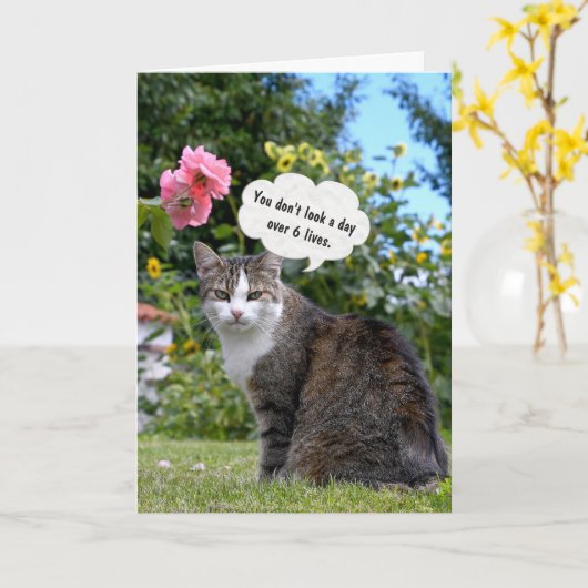 Birthday Tabby Cat Karte (Gelbe Blume)