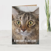 Birthday Tabby Cat Spaß Karte (Vorderseite)