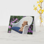 Birthday Welsh Terrier auf dem Vorsitz Karte (Gelbe Blume)