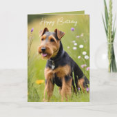 Birthday Welsh Terrier Karte (Vorderseite)