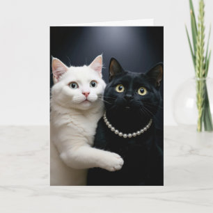 Birthday White Cat umarmt eine schwarze Katze Karte