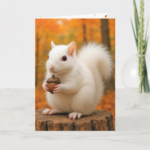 Birthday White Eichhörnchen Holding an Acorn Karte