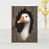 Birthday White Goose Peeking Out of Hole Karte (Gelbe Blume)