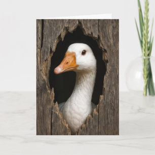 Birthday White Goose Peeking Out of Hole Karte