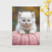 Birthday White Kitten on Pink Pumpkin Karte (Gelbe Blume)