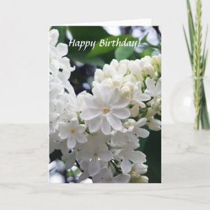 Birthday White Lilac Karte