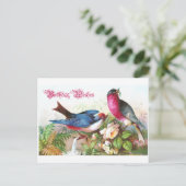 Birthday Wises Postkarte (Stehend Vorderseite)