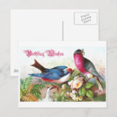 Birthday Wises Postkarte (Vorne/Hinten)