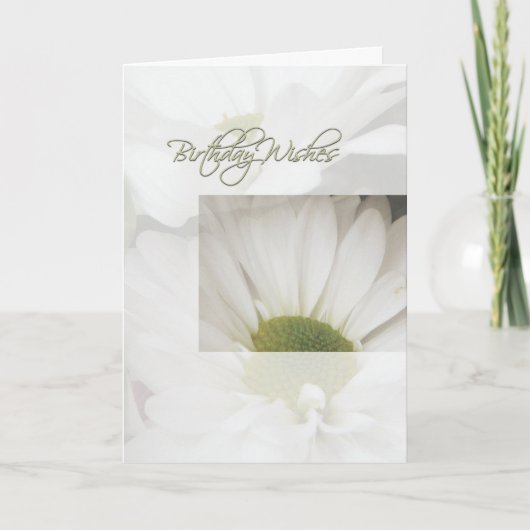 Birthday Wish-Daisies Karte (Vorderseite)