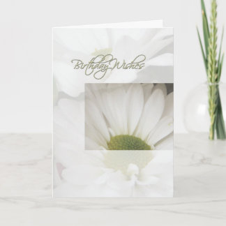 Birthday Wish-Daisies Karte