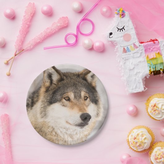 Birthday Wolf niedlicher Junge Pappteller (Party)