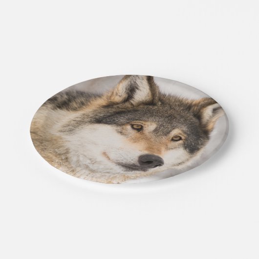 Birthday Wolf niedlicher Junge Pappteller (Schrägansicht)