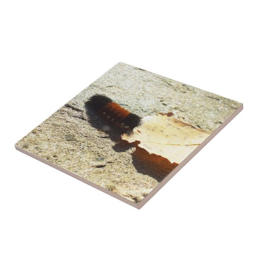 Birthday-Wooly-Bear-Raupe Fliese (Seite)