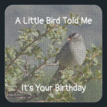 Birthday wünscht Funny Umschlag Aufkleber Little B<br><div class="desc">Siegel eine Geburtstagskarte mit einem Aufkleber mit einem Mosaikvogel,  der in einem Baum sitzt. "A Little Bird Told Me It's Your Birthday" ist das Gefühl auf diesem quadratischen Aufkleber und kann leicht angepasst werden,  wenn Sie wollen. Original Foto - C. McGouldrick</div>