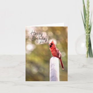 Birthday wünscht Kardinal Style Card Karte