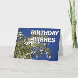 Birthday wünscht Leafy Pappelbaum, blauer Himmel Karte