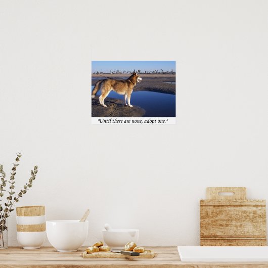 Bis es keine gibt, adoptier eins poster (Küche)