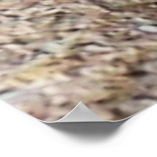 Bis Nah und dreckig! ! Fiddler Crab Poster (Ecke)