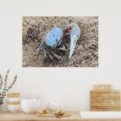 Bis Nah und dreckig! ! Fiddler Crab Poster (Küche)