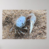 Bis Nah und dreckig! ! Fiddler Crab Poster (Vorne)