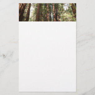 Bis Redwoods II im Muir Woods National Monument Briefpapier