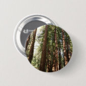 Bis Redwoods II im Muir Woods National Monument Button (Vorne & Hinten)