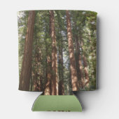 Bis Redwoods II im Muir Woods National Monument Dosenkühler (Rückseite)