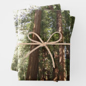 Bis Redwoods II im Muir Woods National Monument Geschenkpapier Set (Beispiel)