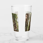 Bis Redwoods II im Muir Woods National Monument Glas (Links)