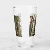 Bis Redwoods II im Muir Woods National Monument Glas (Rechts)