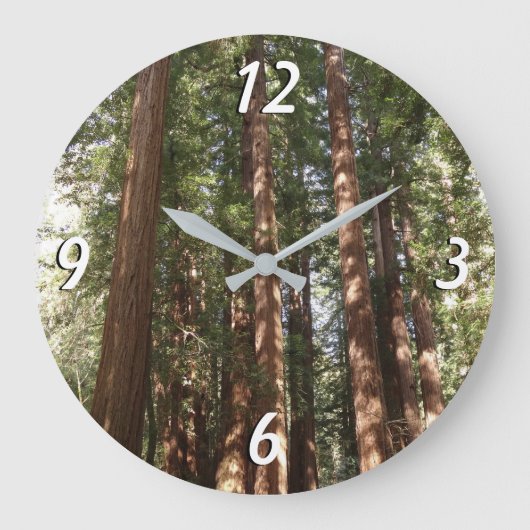 Bis Redwoods II im Muir Woods National Monument Große Wanduhr (Vorderseite)