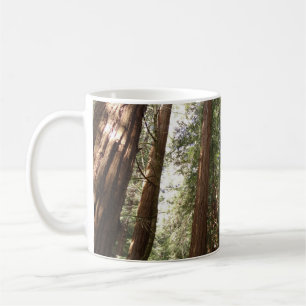 Bis Redwoods II im Muir Woods National Monument Kaffeetasse