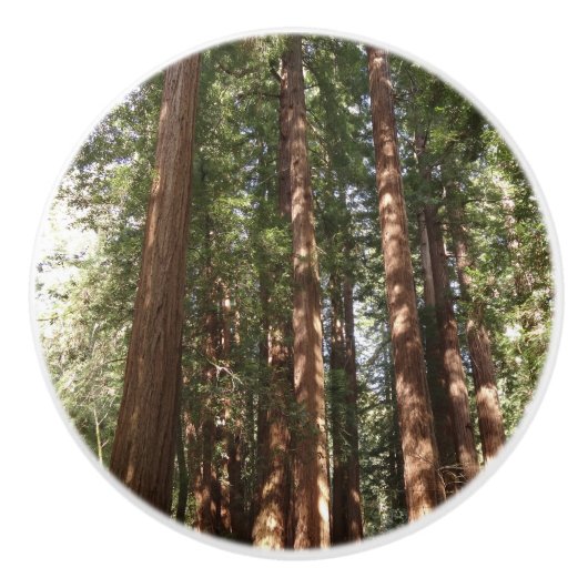 Bis Redwoods II im Muir Woods National Monument Keramikknauf (Vorderseite)