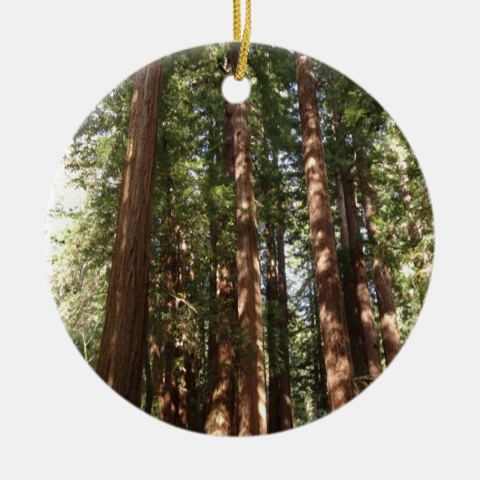 Bis Redwoods II im Muir Woods National Monument Keramikornament (Vorne)