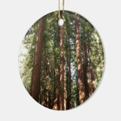 Bis Redwoods II im Muir Woods National Monument Keramikornament (Links)