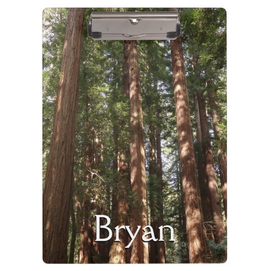 Bis Redwoods II im Muir Woods National Monument Klemmbrett (Vorderseite)