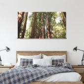 Bis Redwoods II im Muir Woods National Monument Leinwanddruck (Insitu (Schlafzimmer))