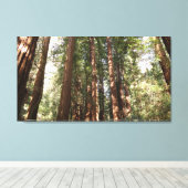 Bis Redwoods II im Muir Woods National Monument Leinwanddruck (Insitu (Holzboden))