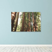 Bis Redwoods II im Muir Woods National Monument Leinwanddruck (Insitu (Holzboden))