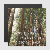 Bis Redwoods II im Muir Woods National Monument Magnetkarte (Vorne/Hinten)