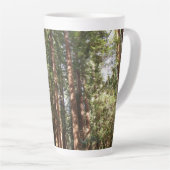 Bis Redwoods II im Muir Woods National Monument Milchtasse (Rechte Ecke)