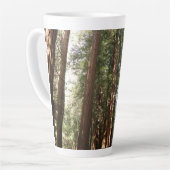 Bis Redwoods II im Muir Woods National Monument Milchtasse (Linke Ecke)