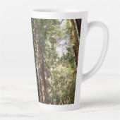 Bis Redwoods II im Muir Woods National Monument Milchtasse (Rechts)
