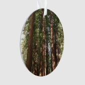 Bis Redwoods II im Muir Woods National Monument Ornament (Vorderseite)