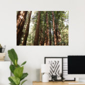 Bis Redwoods II im Muir Woods National Monument Poster (Heimbüro)